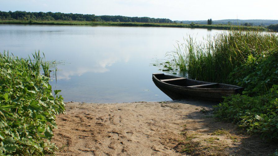 Скромняжка на берегу реки.