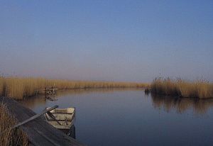 Поисковые работы на озере м. Чаны в Купинском районе Новосибирской области