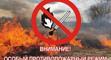 Правительство Новосибирской области  постановило установить особый противопожарный режим