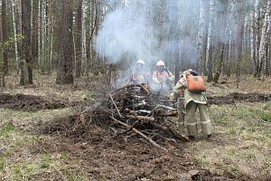 Спасатели АСС НСО приняли участие в командно-штабном учении по ликвидации лесных пожаров.